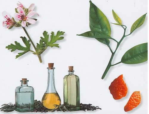 FLORAL ABSOLUTE OILS